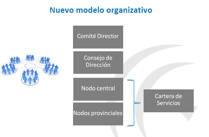 Nuevo modelo organizativo